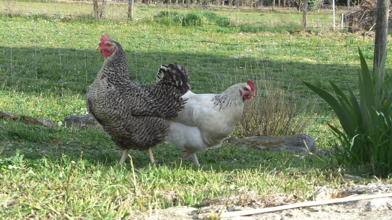 فيلا La Petite Galejade جورد المظهر الخارجي الصورة
